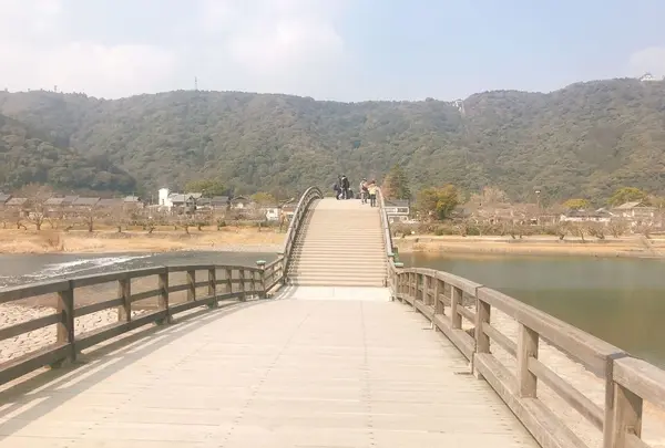 錦帯橋の写真・動画_image_299089