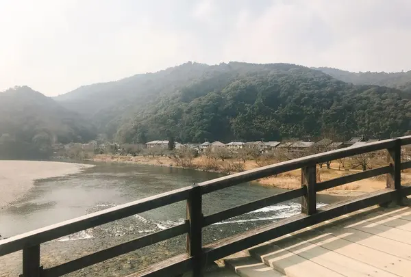 錦帯橋の写真・動画_image_299090