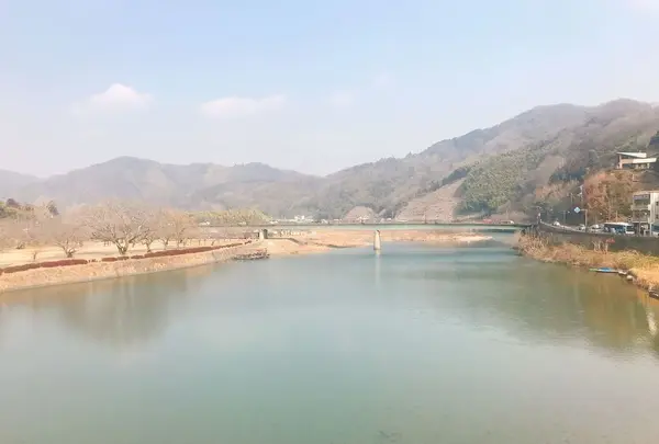 錦帯橋の写真・動画_image_299091