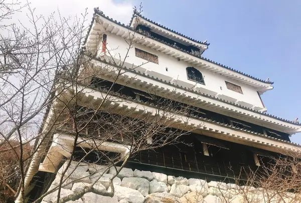 岩国城の写真・動画_image_299094