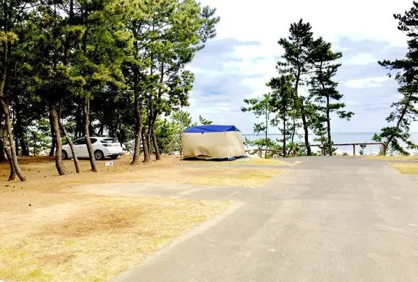 大洗サンビーチキャンプ場の写真・動画_image_299972