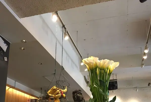 麹町カフェ (Kojimachi Cafe)の写真・動画_image_300231