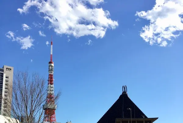 まちの本とサンドイッチの写真・動画_image_300486