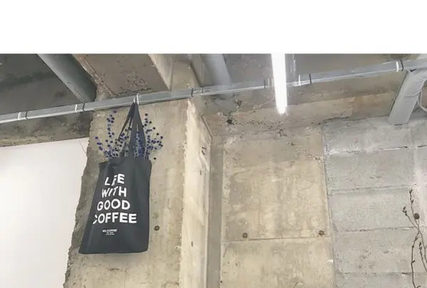 NO COFFEEの写真・動画_image_301161