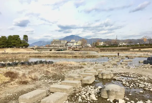 鴨川デルタの写真・動画_image_301272