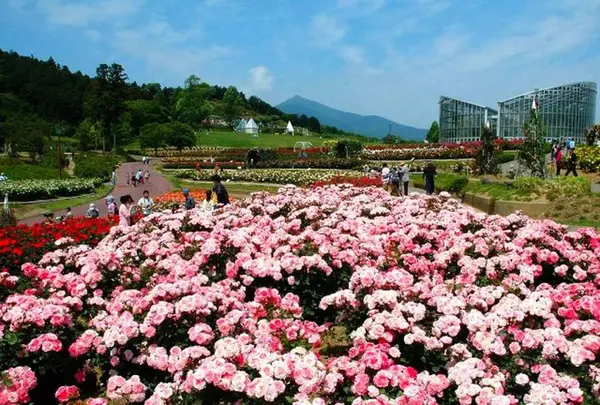 茨城県フラワーパーク