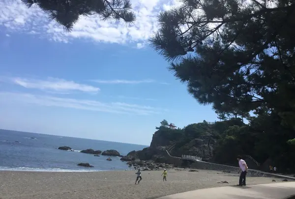 桂浜の写真・動画_image_302384