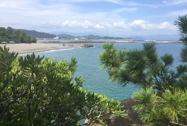 桂浜の写真・動画_image_302385