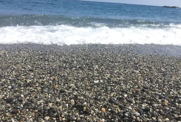 桂浜の写真・動画_image_302386