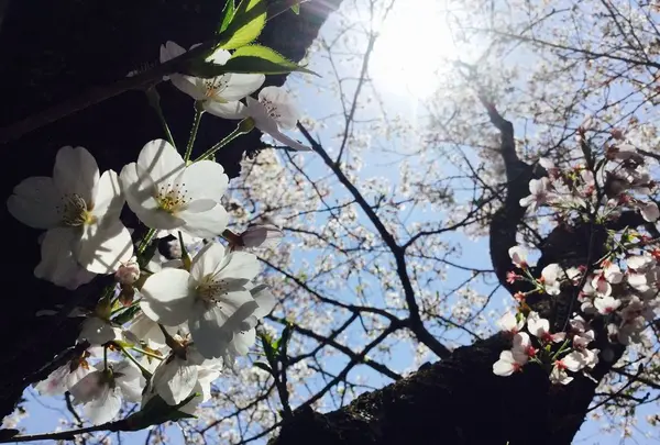 高知市の写真・動画_image_302393