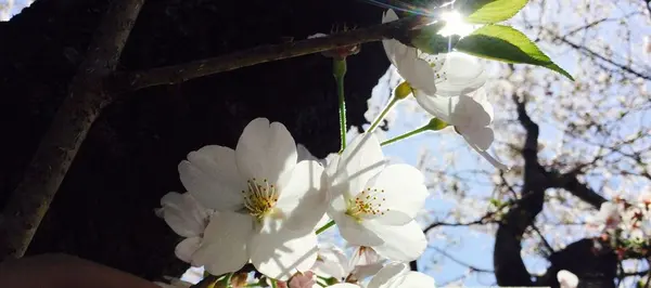 高知市の写真・動画_image_302395