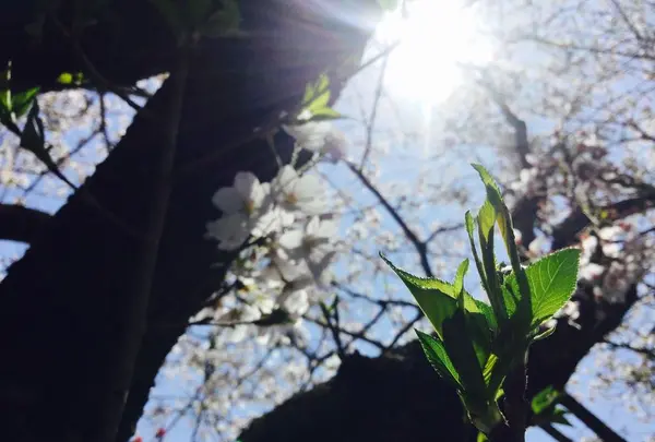 高知市の写真・動画_image_302397