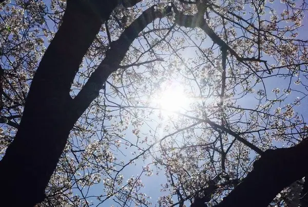 高知市の写真・動画_image_302400