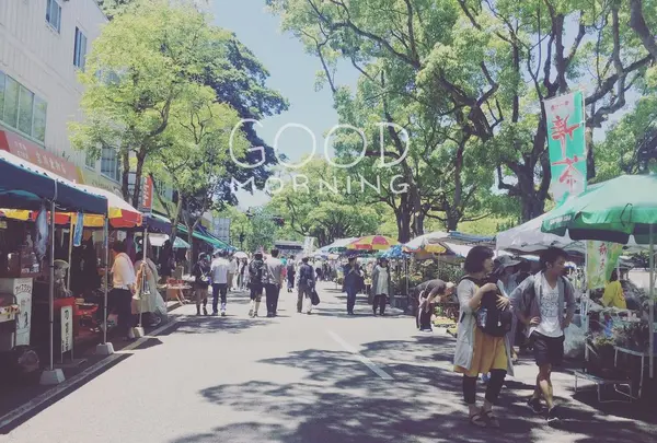 日曜市の写真・動画_image_302401