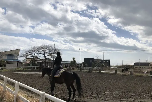 一の宮乗馬センターの写真・動画_image_303120