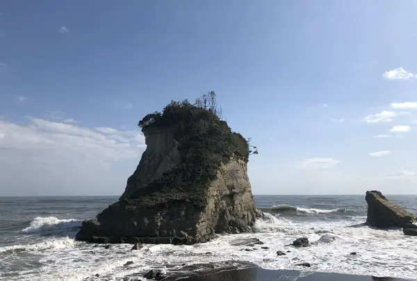 津々ヶ浦の写真・動画_image_303121