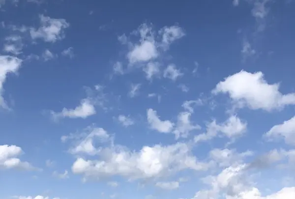 GAKEの写真・動画_image_303204