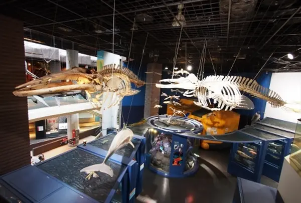 ミュージアムパーク茨城県自然博物館