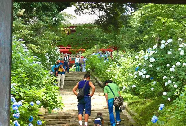 雨引山楽法寺（雨引観音）