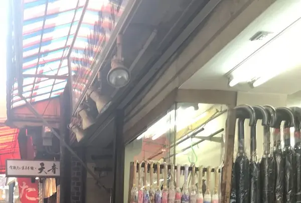 天音の写真・動画_image_303929