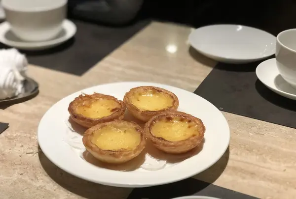 ミモザ （MIMOSA）の写真・動画_image_304224