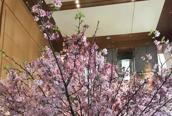 ザ・リッツ・カールトン東京の写真・動画_image_304919