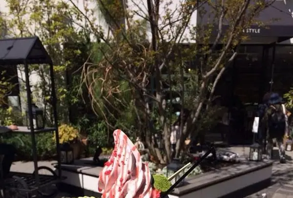 bondolfi boncaffē 代官山 （ボンドルフィ ボンカフェ）の写真・動画_image_305934