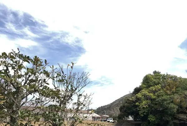 おかげ横丁の写真・動画_image_306669