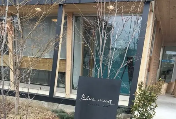 ブルー マグ コーヒーの写真・動画_image_307157