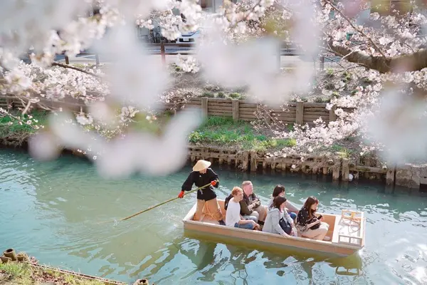 小江戸川越一番街商店街 蔵造りの町並みの写真・動画_image_307277