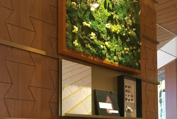 LEXUS MEETS … （レクサス　ミーツ）の写真・動画_image_307769