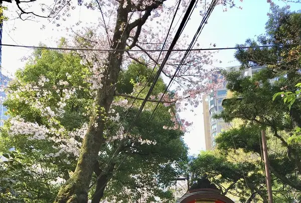 愛宕神社の写真・動画_image_307815
