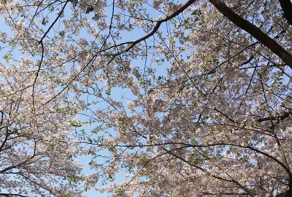 都立林試の森公園の写真・動画_image_307827