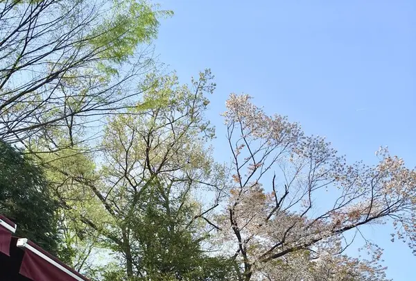 Le Pain Quotidien (ル・パン・コティディアン) 芝公園店の写真・動画_image_307831