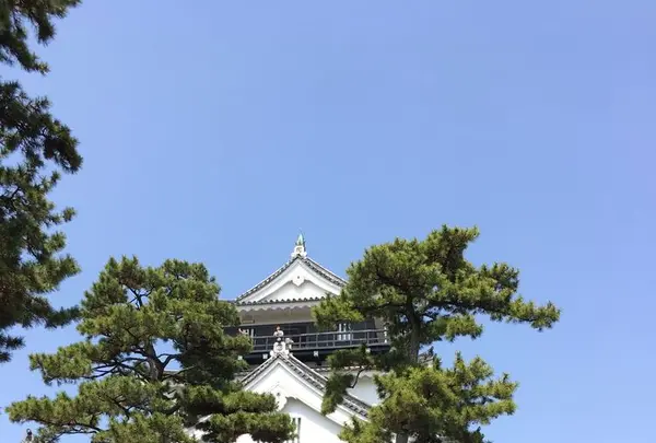 岡崎城の写真・動画_image_307849