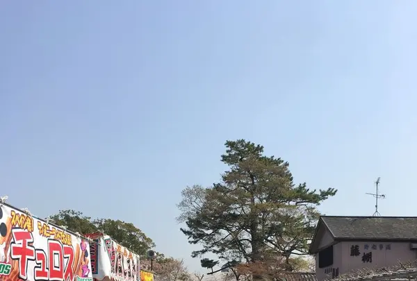 岡崎城の写真・動画_image_307850