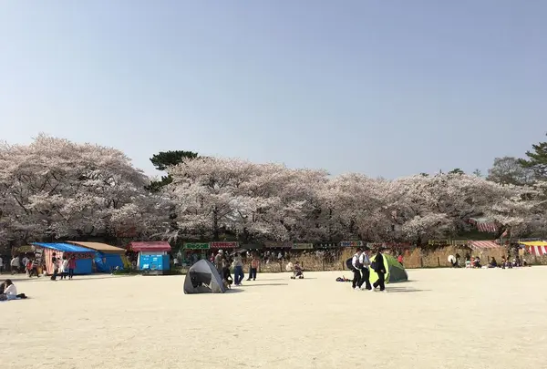 岡崎城の写真・動画_image_307851