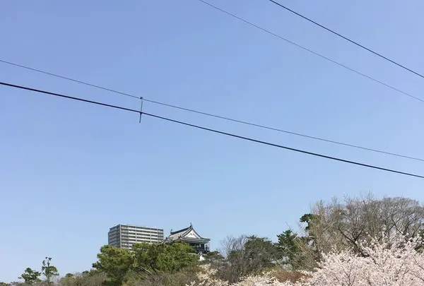 岡崎城の写真・動画_image_307853