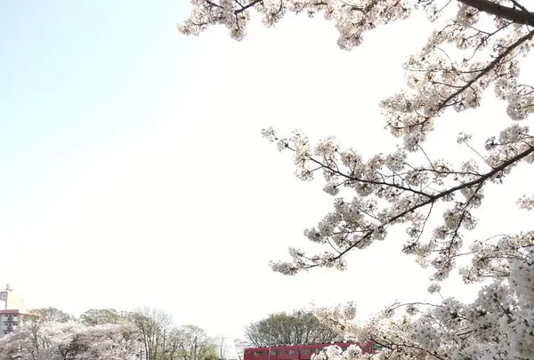 岡崎城の写真・動画_image_307854