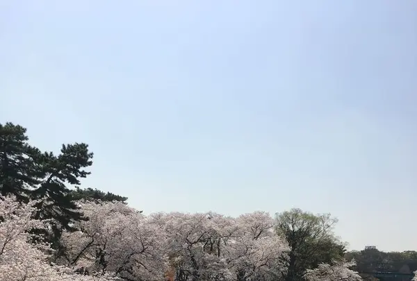 岡崎城の写真・動画_image_307855