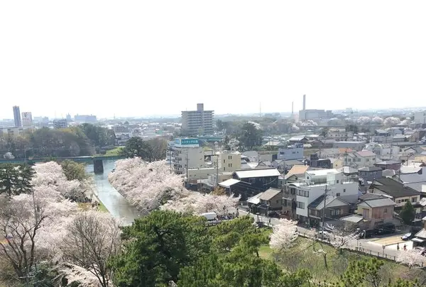 岡崎城の写真・動画_image_307856
