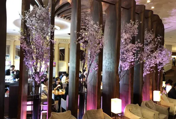 Thrush Cafeの写真・動画_image_308176