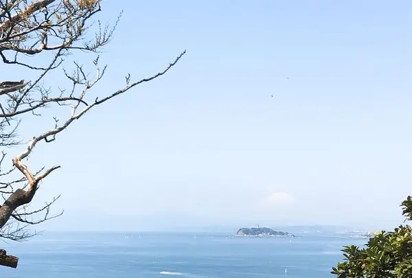 大崎公園の写真・動画_image_308199