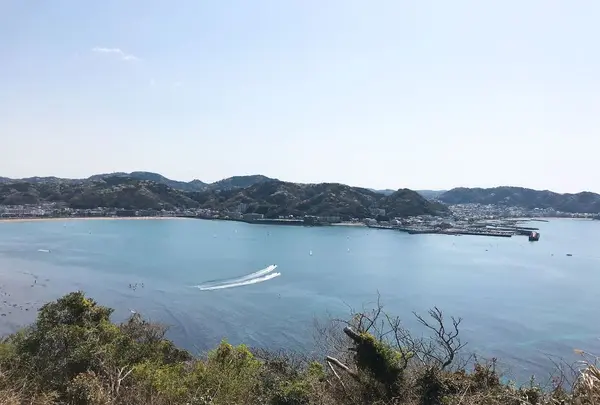 大崎公園の写真・動画_image_308200