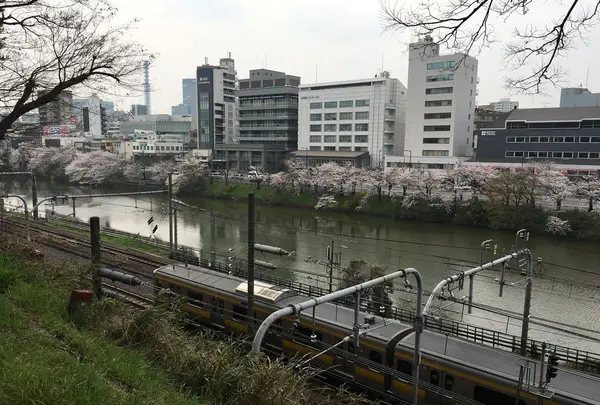 飯田橋サクラテラスの写真・動画_image_308336