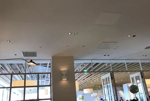 bills お台場の写真・動画_image_308441