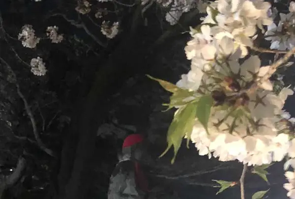 慈眼寺の写真・動画_image_308473