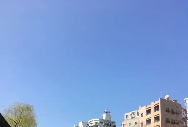 眼鏡橋の写真・動画_image_308488