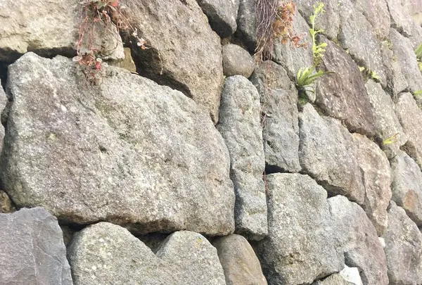 眼鏡橋の写真・動画_image_308489