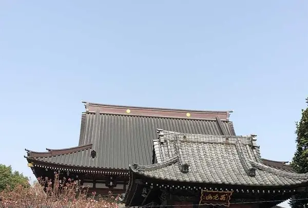 大應寺の写真・動画_image_309132